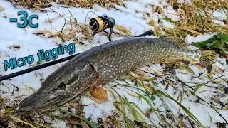 Stuka na micro jig // Pecanje na -3c