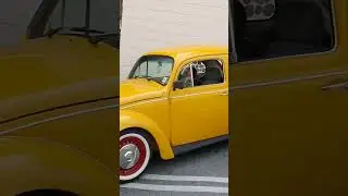 Belos Volkswagen Fusca! #volkswagen #fusca