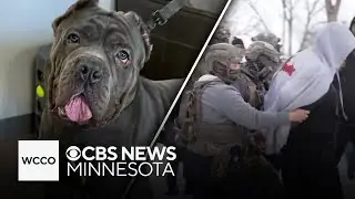 A local organization is helping take care of pets who are left after their owners are deported