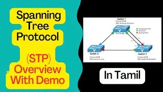 #06 Spanning Tree Protocol Explained in Tamil | What is STP in Tamil