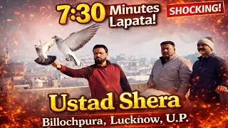 Shocking! Kabutar 7:30 Minutes Lapata, Ustad Shera, Lucknow, UP