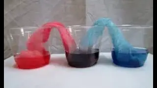 Simple experiment to learn about Capillary action #kidsscienceexperiment#activitiesforkids#kidsfun