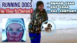 Your GO-TO Winter Dog Running Gear! ☃️