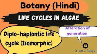 Life Cycles in Algae| Diplo-Haplontic Life Cycle| Algae| Botany| Biology| Isomorphic|
