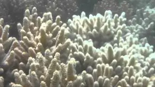 Kakeroma island