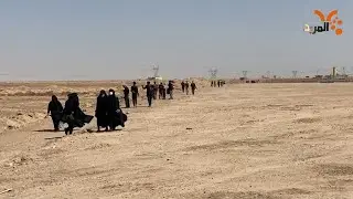 من الشلامجة إلى كربلاء .. الزوار الإيرانيون يهتفون .. لبيك يا حسين #المربد