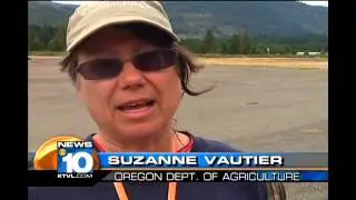 Aggresive noxious weed still scattered in Illinois Valley