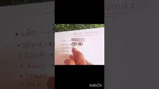 Basic Henna design step by step tutorial || #henna_designsholic#art#mehendidesign