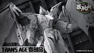 CANG TOYS TA-HYL002 TRANSAGE Heroic Pterhowl [Prototype Preview]