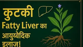 🔥 #Acidity, Gas, Fever&hellip; सबका एक हल &mdash; Kutaki | #कुटकी &ndash; Liver Detox की सबसे Powerfull जड़ी-बूटी |