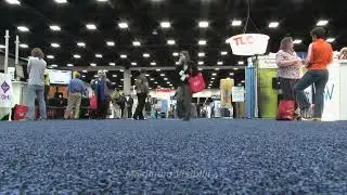 Maximizing Your Trade Show Display with the Right Accessories
