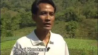 Linking Codex work to smallholders in the field