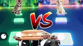 Coffin Dance Tiles hop: Cat vs Dog