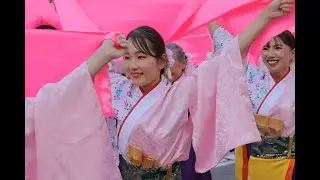 20241013東京よさこい2024（RHK光渦）アゼリア通り【ＨＤ・原画４Ｋ】