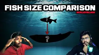 FISH Size Comparison | ഇത്രേം ബല്ല്യ മീനോ😲 | Malayalam Reaction With @RGfixer