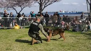 K9 Demonstration 04/02/2022