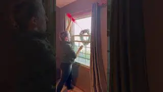 Window Wreaths