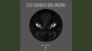 Animal Wellness
