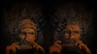 Canto de armónica - Yagé Ayahuasca - 