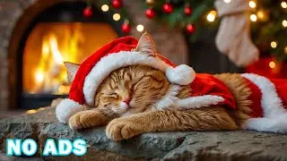 11-hour Ultra Relaxing Music For Cat🎶Soothe your Cat with our Relaxation Music no ads💤Music for Cat