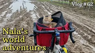 Nala cat's muddy bike adventure in CROATIA 😻❤️  VLOG #62