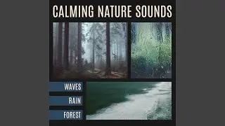 Calming Nature Sounds