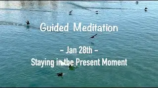Jan 28th Daily Meditation: Staying in the present moment -the Language of Letting Go |Melody Beattie