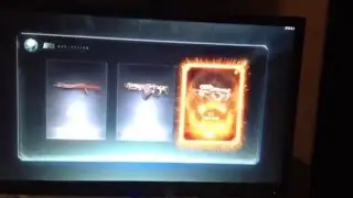 EPIC - ICE WEEEVIL Camo - Black ops3