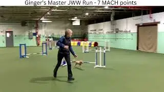 Ginger 2025 11 23 agility