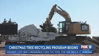 How To Recycle Christmas Trees In San Diego