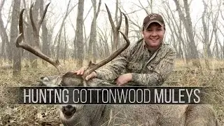 Hunting Mule Deer in South Dakota