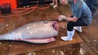 Perfect slice through the richest tuna fat#Otoro #TunaMastery #BluefinTuna #CleanCut #ChefSkills