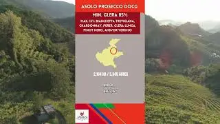 Italian DOC & DOCGs - Asolo Prosecco DOCG #italianwine #sparklingwine #shorts