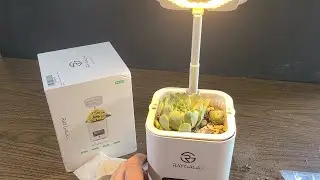 THE BEST SMART INDOOR PLANTER UNDER $50