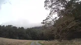 Driving around the Kiosk Creek DOC Campsite | Southland | New Zealand | 4K