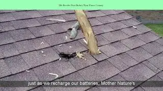 Tile Roofer Port Richey West Pasco County