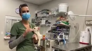Vet Center tour!
