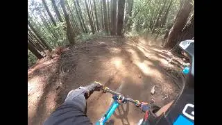 Cruising in the woods!
