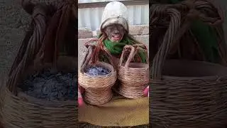 warning ⚠️ of chilai kalan 🤣 #viral #comedy #treding #funnykashmir