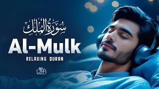 Surah Al-Mulk (سورة الملك) | Soothing Quran Recitation for Night Protection & Inner Peace | #lofi