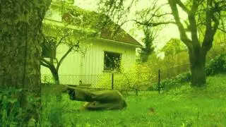 K&aring;re K trio - Sitter i tr&aelig;r