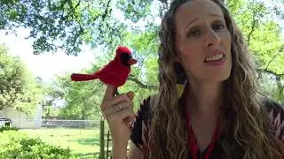 Pourquoi & Pajarito Story