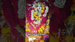 new Majisa WhatsApp status 2022❤️❤️🙏#shorts #majisa