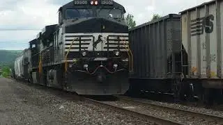 RDMVTL 18,422 ~ 6 7 2016 5 {MY JOB STORY} RENZENBERGER TRIP : NSRR] @ SAYRE , PA