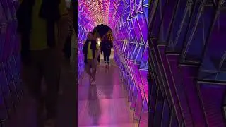 San Francisco Museum Of Modern Art