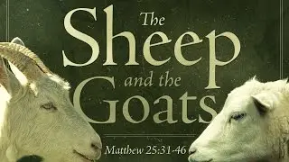 The Uber Evangelist - The Sheep and the Goats