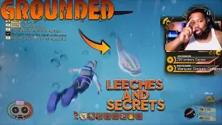 GROUNDED GAME: TREX, UNDERWATER LABS, AND TADPOLES AND MORE SECRETS!
