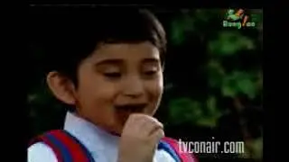 Iklan Hollander P Bear