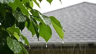 🌧️ Gentle Rain Meditation for Emotional Healing & Sleep