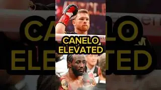 WBC поднимает Канело до претендента №1 на Кроуфорда